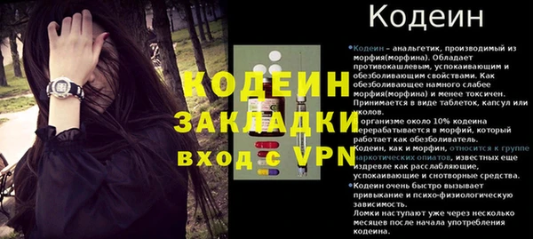 прущие грибы Волосово