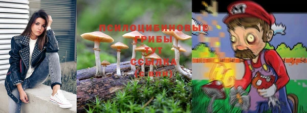 прущие грибы Волосово