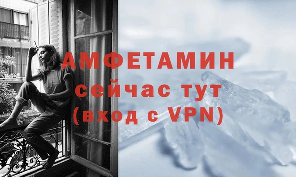 прущие грибы Волосово