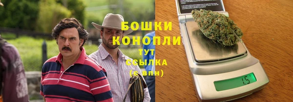 прущие грибы Волосово